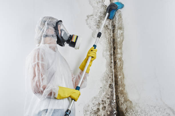 Water Damage Restoration in Sheridan, WY
