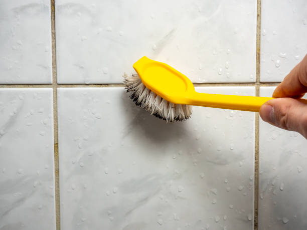 Best Affordable Mold Removal  in Sheridan, WY
