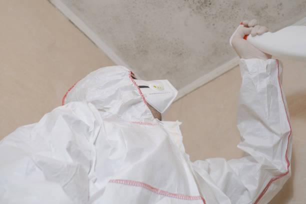 Best Toxic Mold Removal  in Sheridan, WY