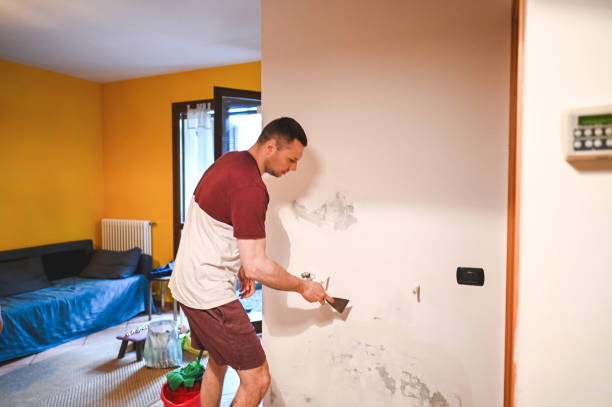 Best Commercial Mold Removal  in Sheridan, WY
